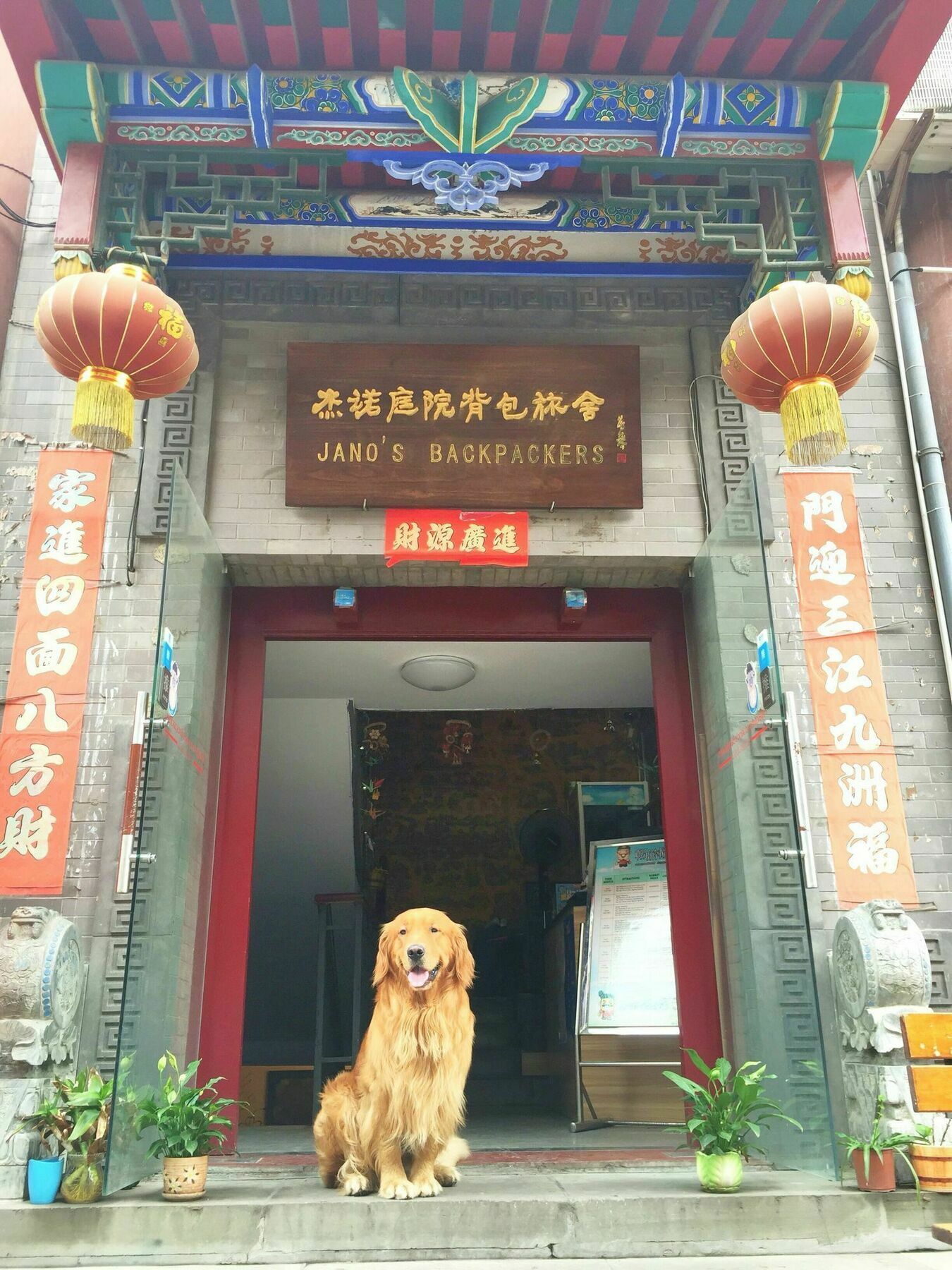 Jano'S Backpackers Xi'An Hostel Xian Bagian luar foto
